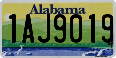 AL license plate 1AJ9019