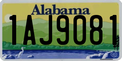AL license plate 1AJ9081