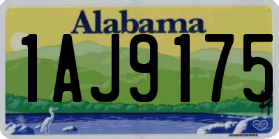 AL license plate 1AJ9175