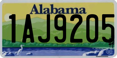 AL license plate 1AJ9205