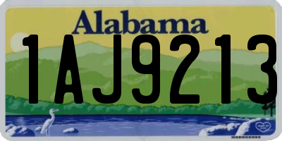 AL license plate 1AJ9213