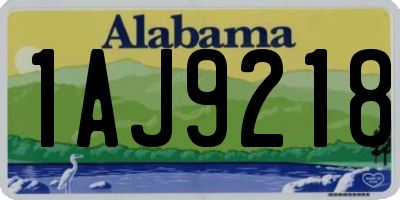 AL license plate 1AJ9218