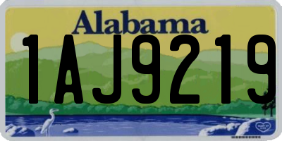 AL license plate 1AJ9219