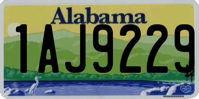 AL license plate 1AJ9229