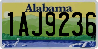 AL license plate 1AJ9236