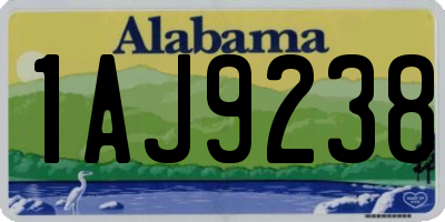 AL license plate 1AJ9238