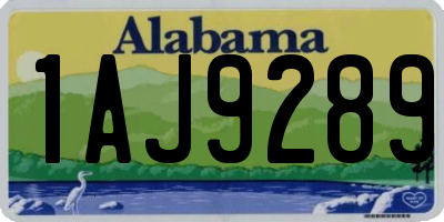 AL license plate 1AJ9289
