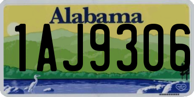 AL license plate 1AJ9306