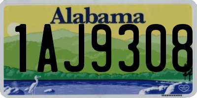AL license plate 1AJ9308