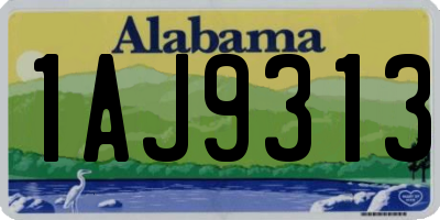 AL license plate 1AJ9313