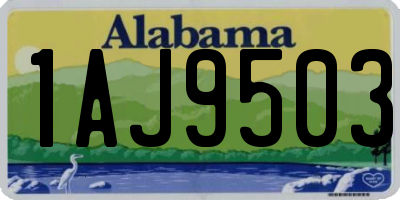 AL license plate 1AJ9503