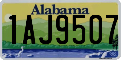 AL license plate 1AJ9507