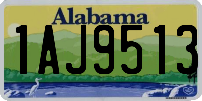 AL license plate 1AJ9513
