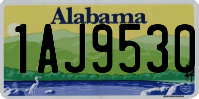 AL license plate 1AJ9530