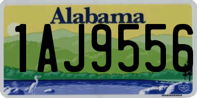 AL license plate 1AJ9556