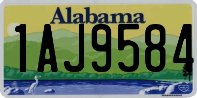 AL license plate 1AJ9584