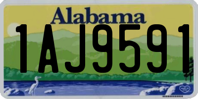 AL license plate 1AJ9591