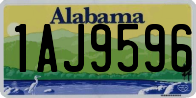 AL license plate 1AJ9596