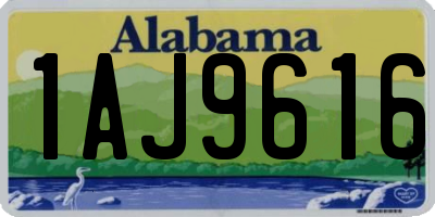 AL license plate 1AJ9616