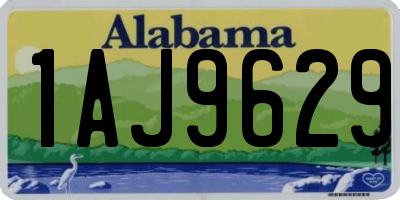 AL license plate 1AJ9629