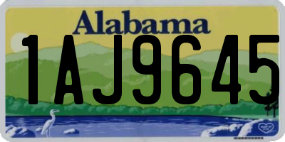 AL license plate 1AJ9645