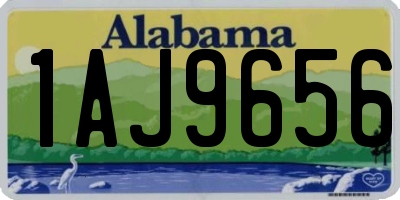 AL license plate 1AJ9656