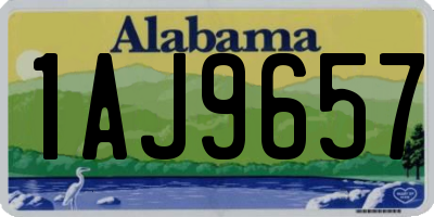AL license plate 1AJ9657