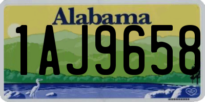 AL license plate 1AJ9658