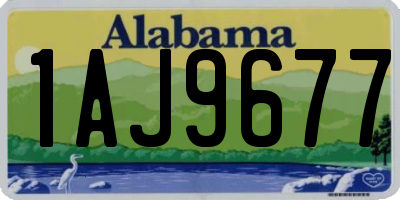 AL license plate 1AJ9677