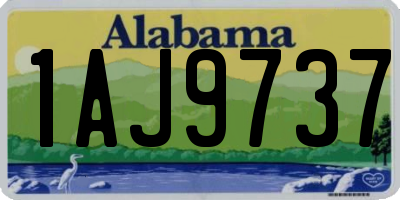 AL license plate 1AJ9737