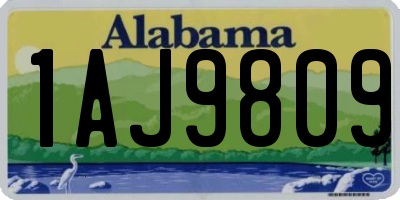 AL license plate 1AJ9809