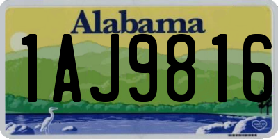 AL license plate 1AJ9816