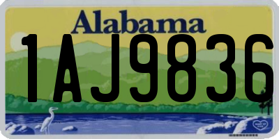 AL license plate 1AJ9836