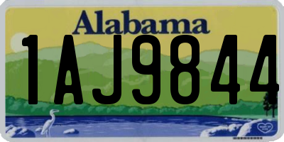 AL license plate 1AJ9844