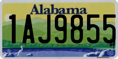 AL license plate 1AJ9855