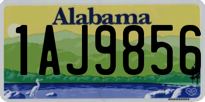 AL license plate 1AJ9856