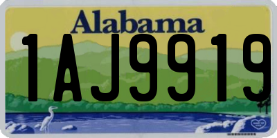 AL license plate 1AJ9919