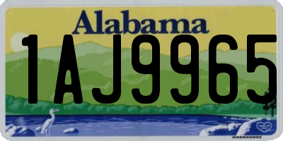 AL license plate 1AJ9965