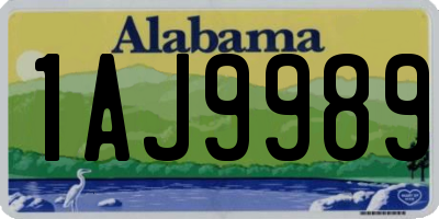 AL license plate 1AJ9989