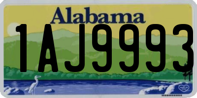 AL license plate 1AJ9993
