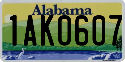 AL license plate 1AK0607