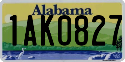 AL license plate 1AK0827