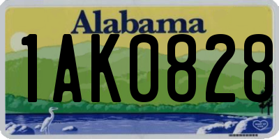 AL license plate 1AK0828