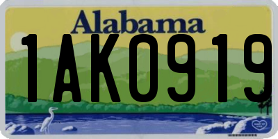AL license plate 1AK0919