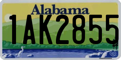 AL license plate 1AK2855