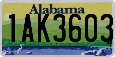 AL license plate 1AK3603