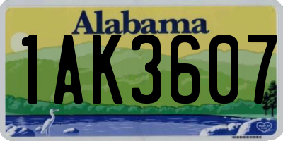 AL license plate 1AK3607