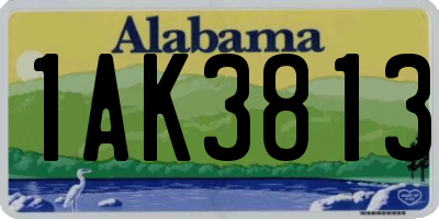 AL license plate 1AK3813