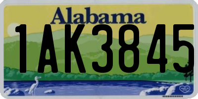 AL license plate 1AK3845