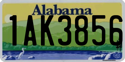 AL license plate 1AK3856
